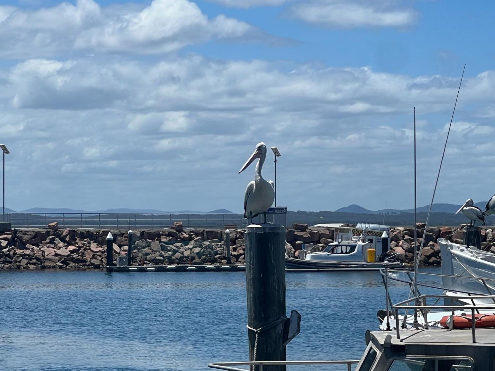 Foreshore Paradise Nelson Bay Luaran gambar